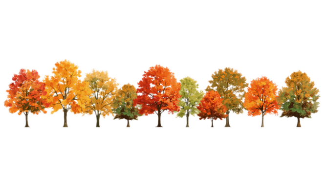 Autumnal Canopy A Colorful Symphony of Trees in Full Fall Splendor