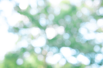 green bokeh abstract background