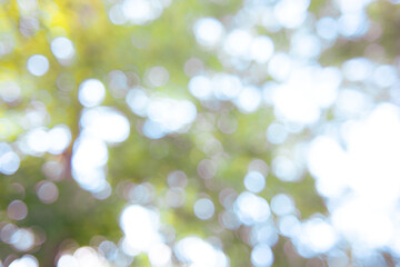 abstract bokeh background