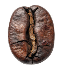 Close-up of a roasted coffee bean, showing its cracked surface and inner structure