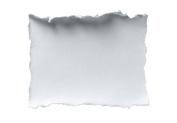 A pristine white, rectangular piece of paper with ragged edges