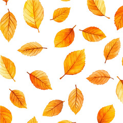Falling Leaves Pattern Design, watercolor clipart vector, isolated on a white background.