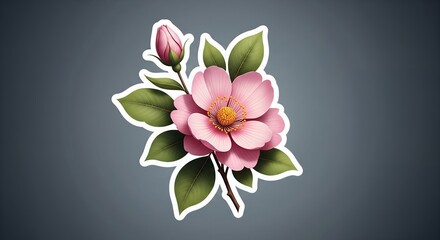 Pink Flower Blossom with Bud and Leaves, Botanical Illustration, Floral Design Element