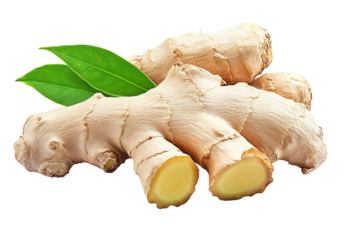 Close up, Fresh ginger rhizome with sliced and green leaves isolated on white background.