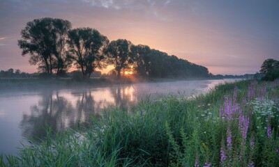 Obraz premium Misty sunrise over a river, trees lining the bank