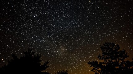Obraz premium Starry Night Sky with Tree Silhouettes and Glimmering Galaxies in Dark Outdoor Setting