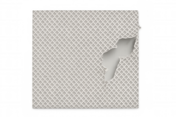 Crisp wafer with bite mark revealing layered texture, golden surface against clean white backdrop