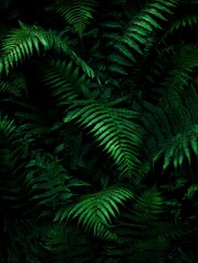 Fototapeta premium Lush green ferns create a dense, tropical rainforest canopy in the dark