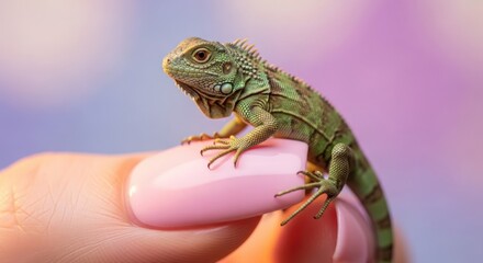 Obraz premium Adorable Baby Green Iguana Perched on a Finger Showing Off Its Beautiful Scales