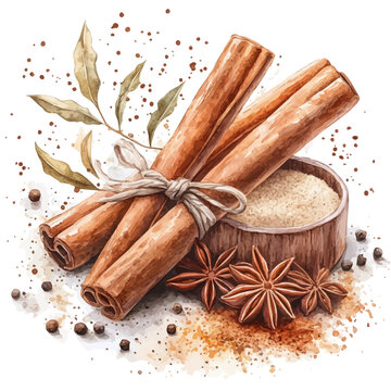 Cinnamon Sticks And Spices, watercolor painting vector, isolated on a white background.
