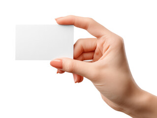 Obraz premium A hand holds a blank business card (1)