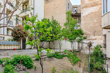 Naklejka premium Urban garden with lush greenery surrounded by buildings in a city courtyard