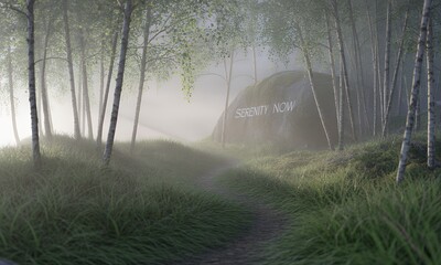 Serene Forest Path Leading to a Rock with Inspirational Message Peaceful Nature Scene for Meditation, Mindfulness, and Wellness