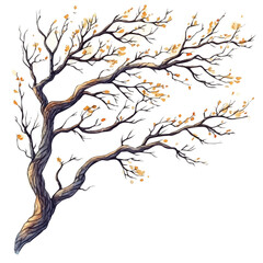 Autumn Tree Branch, watercolor vector, isolated on a white background.