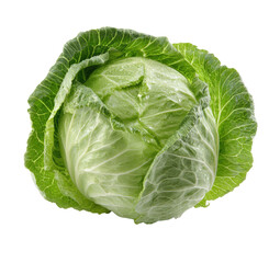 Close-up of a fresh head of green cabbage