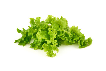 Obraz premium Fresh Green Lettuce Leaves, isolated on white background