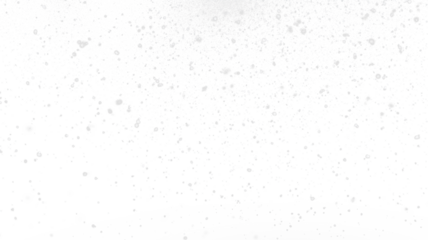 Subtle floating dust particles and soft snow overlay. This PNG file with a transparent background is ideal for adding magical bokeh, light glitter effects, or a gentle atmospheric film grain