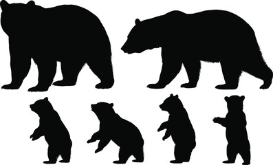 Black silhouettes of bears in various poses on a white background animal wildlife