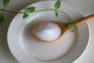 塩　塩分　ミントの葉　イメージ