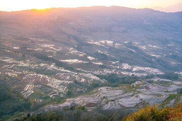 Obraz premium Sunset over Bada rice terraces in Yuanyang rice terraces, Yunnan, China. Panoramic image