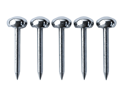 Five polished metal tacks, closely grouped, with rounded heads