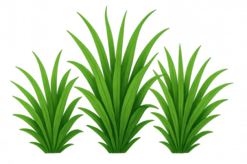 Verdant grassy field growing vibrantly, pristine green blades showcasing natural texture against clean transparent backdrop