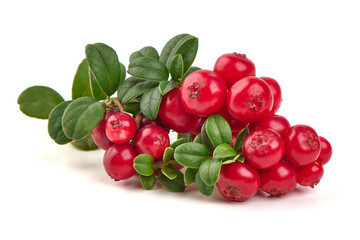 Fresh lingonberry with leaves, isolated on white background.