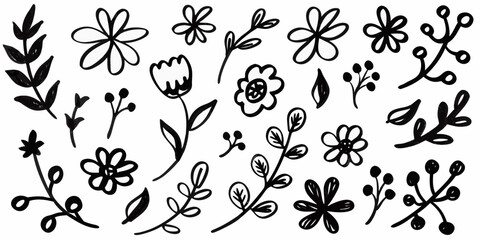 Collection of hand drawn black floral elements and botanical illustrations on white background © Ramanath