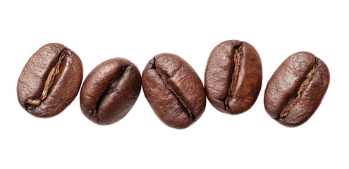 Obraz premium Roasted coffee beans in a row