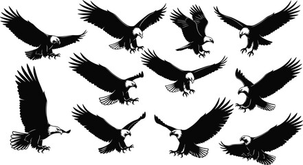 Silhouette of flying and attacking bald eagles with open wings, aggressive pose, isolated vector set, hunting birds of prey illustration