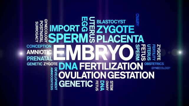 Embryo animated word cloud-text design animation tag kinetic typography seamless loop.