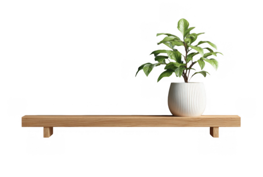 Minimalist wooden floating shelf with a white ceramic pot holding a green leafy plant isolated