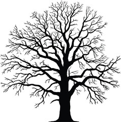 Bare winter tree silhouette with detailed branches, isolated black tree design on white background, natural abstract artwork, seasonal forest illustration, ecology