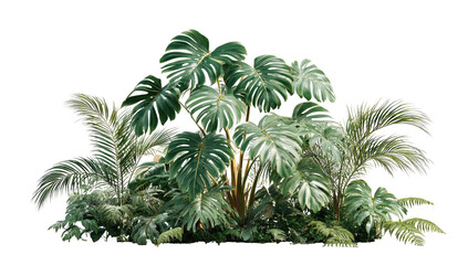 Lush tropical foliage cluster (1)