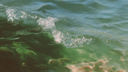 Calming Premium Green Water Surface with Sunlight Reflections Modern Natural Texture for Lifestyle Wellness and Social Media Marketing Campaigns