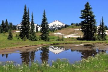 Mountain reflection in a calm pond, surrounded by evergreens and wildflowers