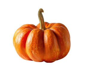 Single, small orange pumpkin
