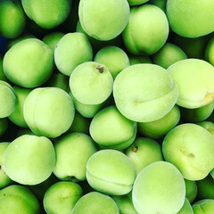 新鮮な青梅 / Fresh Green Plums (Ume)