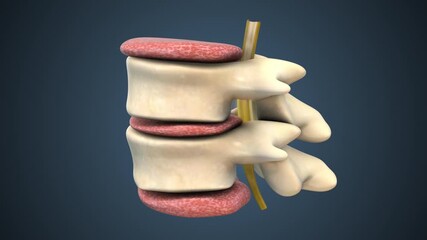 Back Pain Relief with Spinal Decompression Therapy - Powered by Adobe