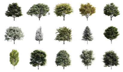 Diverse tree silhouettes