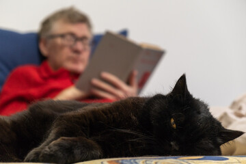 an older adult reads book while lounging on couch, with relaxed black cat lying in foreground, creating cozy atmosphere in home setting. close up.