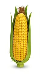 Obraz premium A vibrant, full corn cob stands out against a plain white background, showcasing its rich yellow kernels and fresh, green leaves.