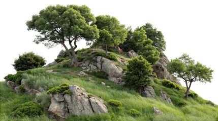 Scenic hillside landscape with lush green trees and rock formations in natural tranquil environment