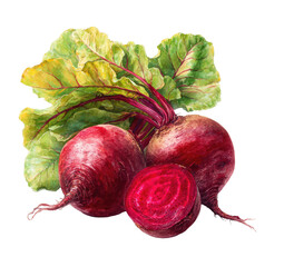 Two whole and one sliced beetroots with vibrant green leaves.  A detailed illustration