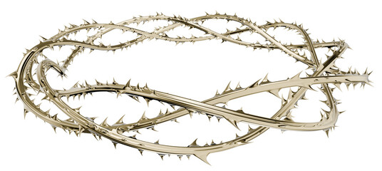 This sculptural 3D render blends dangerous thorns with an elegant, polished finish. A powerful abstract visual for faith-based and metaphorical concepts.