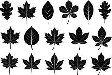 Collection of Tree Leaf Silhouettes – Autumn Foliage Vector Set for Botanical, Nature, Forest, Seasonal, and Decorative Design Projects