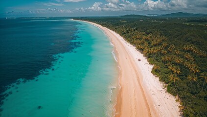 aerial view of the beach