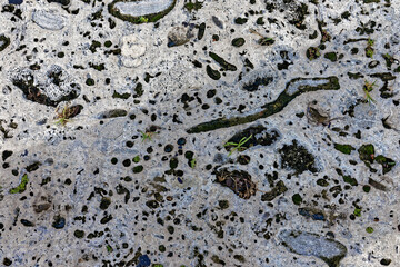 Old concrete texture with moss, dirt and cracks