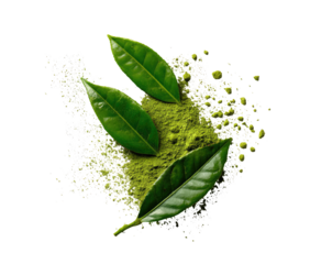 Fresh green tea leaves and powder, scattered