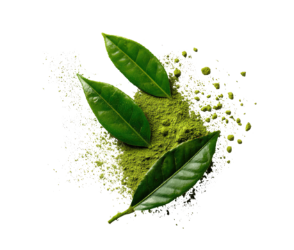 Fresh green tea leaves and powder, scattered